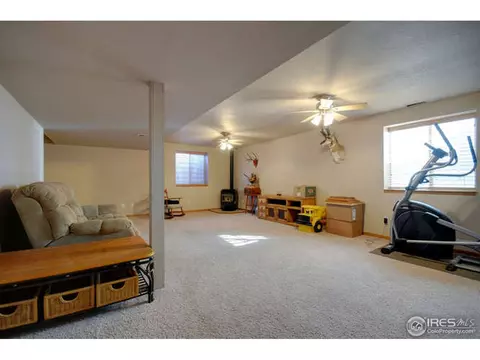 313 Marble Ct, Windsor, CO 80550 photo 14