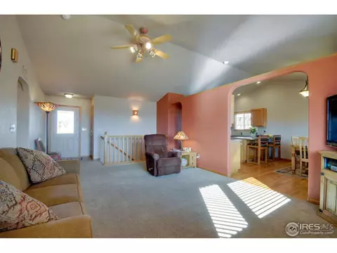 313 Marble Ct, Windsor, CO 80550 photo 3