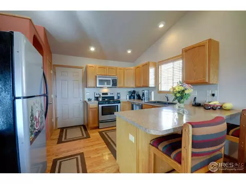 313 Marble Ct, Windsor, CO 80550 photo 5