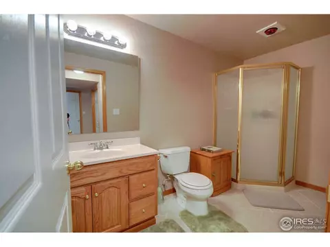 313 Marble Ct, Windsor, CO 80550 photo 16
