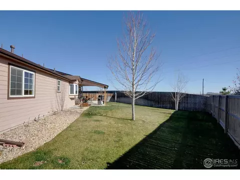 313 Marble Ct, Windsor, CO 80550 photo 19