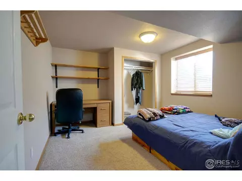 313 Marble Ct, Windsor, CO 80550 photo 15