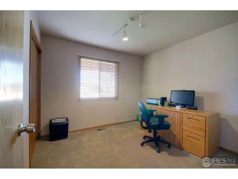 313 Marble Ct, Windsor, CO 80550 photo 10