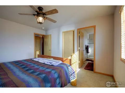 313 Marble Ct, Windsor, CO 80550 photo 8