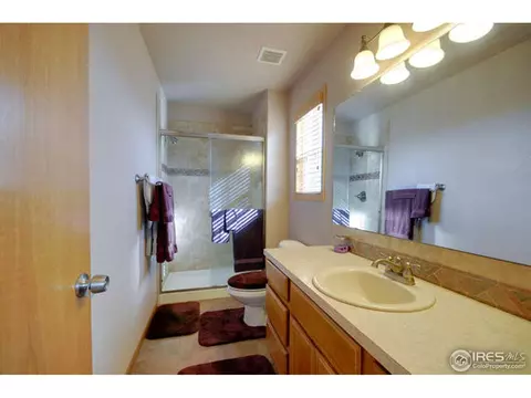 313 Marble Ct, Windsor, CO 80550 photo 9