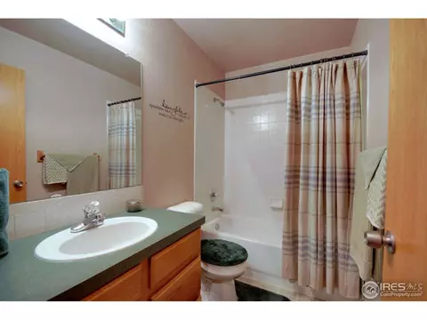 313 Marble Ct, Windsor, CO 80550 photo 11