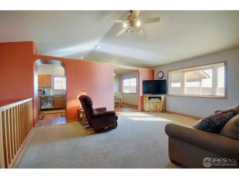 313 Marble Ct, Windsor, CO 80550 photo 2
