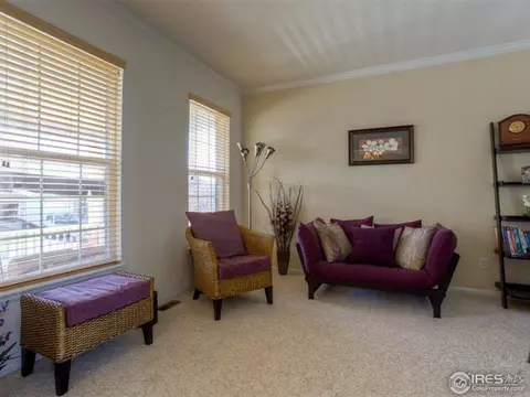 3123 E 136th Pl, Thornton, CO 80602 photo 4
