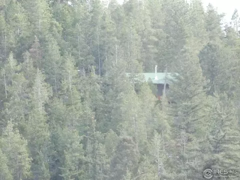 3050 Hwy 72, Pinecliffe, CO 80471 photo 2