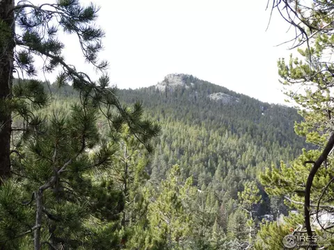 3050 Hwy 72, Pinecliffe, CO 80471 photo 7