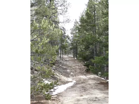 3050 Hwy 72, Pinecliffe, CO 80471 photo 11