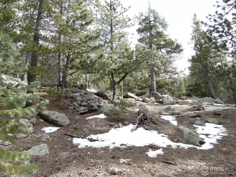 3050 Hwy 72, Pinecliffe, CO 80471 photo 10