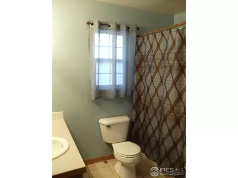 119 E Iowa Ave, Berthoud, CO 80513 photo 13