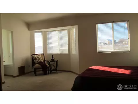 29420 E 162nd Ave, Brighton, CO 80603 photo 20