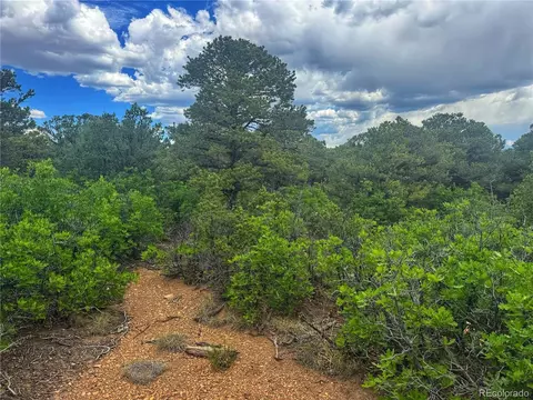 106 Colorado Land Grazing, Walsenburg, CO 81089