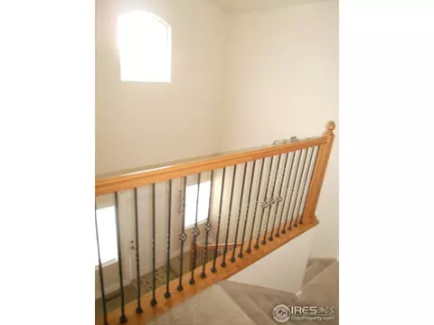 1402 Glacier Ave, Berthoud, CO 80513 photo 19