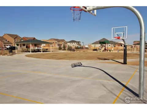 5867 Calgary St, Timnath, CO 80547 photo 4