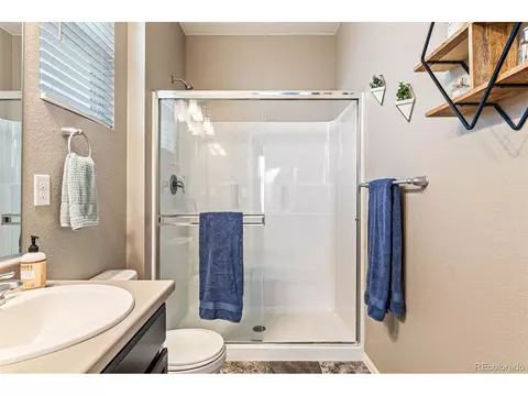929 Keneally Ct, Windsor, CO 80550 photo 24