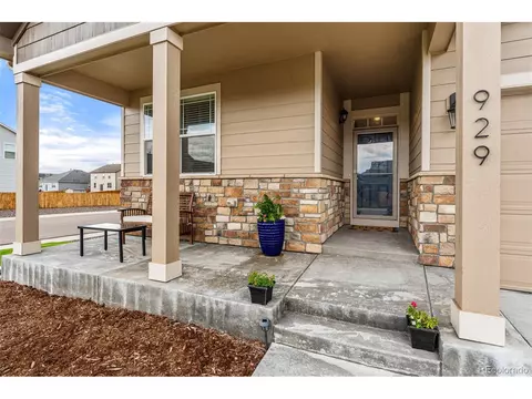 929 Keneally Ct, Windsor, CO 80550 photo 3