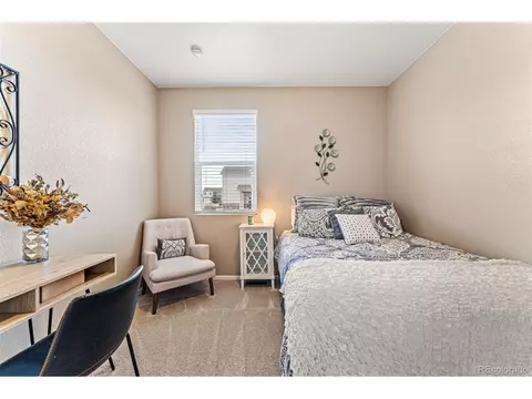 929 Keneally Ct, Windsor, CO 80550 photo 26
