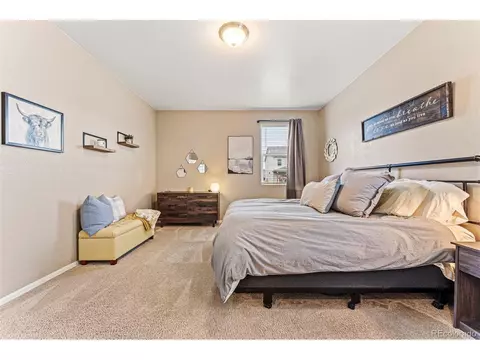 929 Keneally Ct, Windsor, CO 80550 photo 19