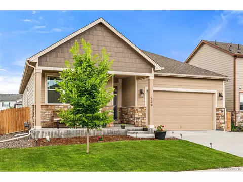 929 Keneally Ct, Windsor, CO 80550 photo 2