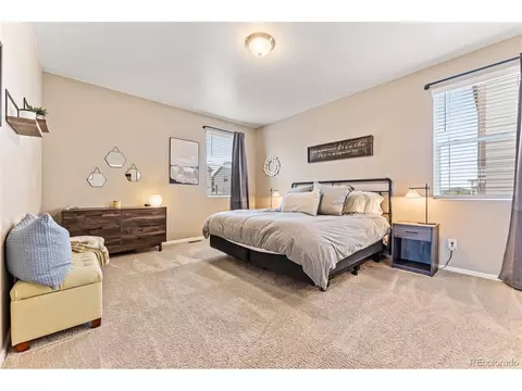 929 Keneally Ct, Windsor, CO 80550 photo 18