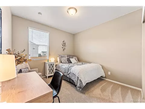 929 Keneally Ct, Windsor, CO 80550 photo 25