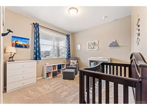 929 Keneally Ct, Windsor, CO 80550 photo 27