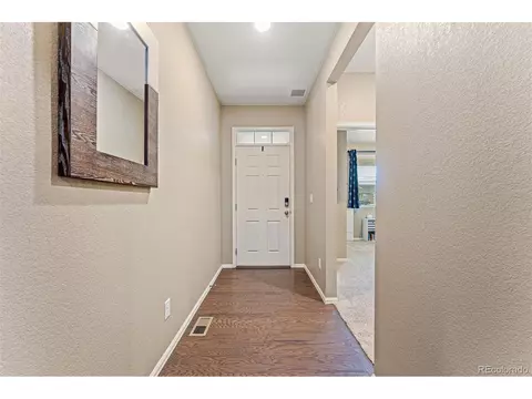 929 Keneally Ct, Windsor, CO 80550 photo 29