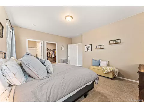 929 Keneally Ct, Windsor, CO 80550 photo 21