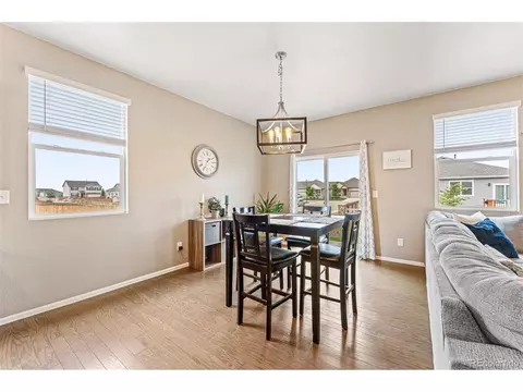 929 Keneally Ct, Windsor, CO 80550 photo 10