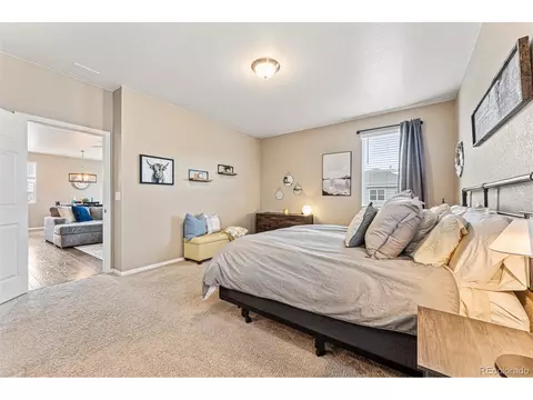 929 Keneally Ct, Windsor, CO 80550 photo 20