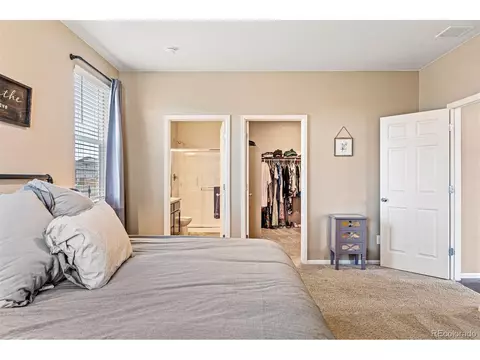 929 Keneally Ct, Windsor, CO 80550 photo 22