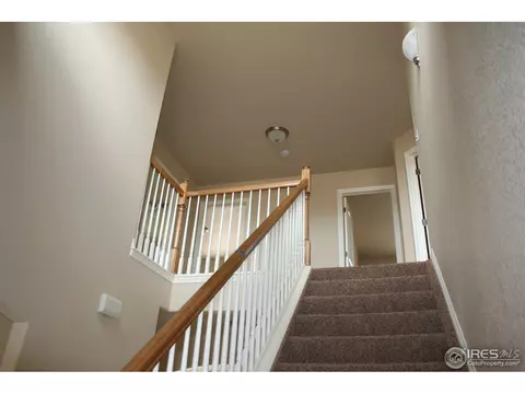 5539 Wetlands Dr, Longmont, CO 80504 photo 12