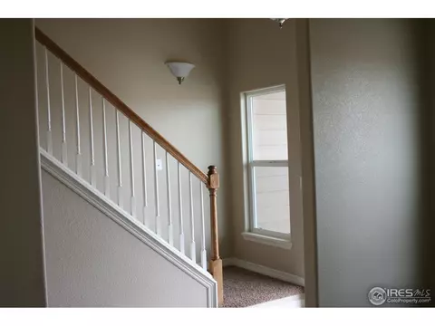 5539 Wetlands Dr, Longmont, CO 80504 photo 4