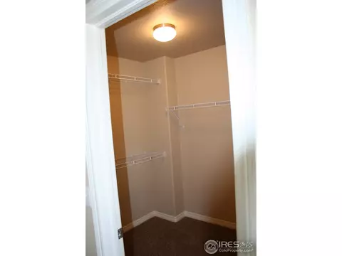 5539 Wetlands Dr, Longmont, CO 80504 photo 22