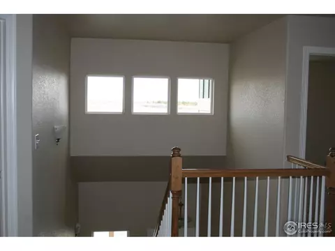 5539 Wetlands Dr, Longmont, CO 80504 photo 19