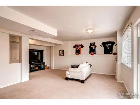 2722 E 132nd Pl, Thornton, CO 80241 photo 21
