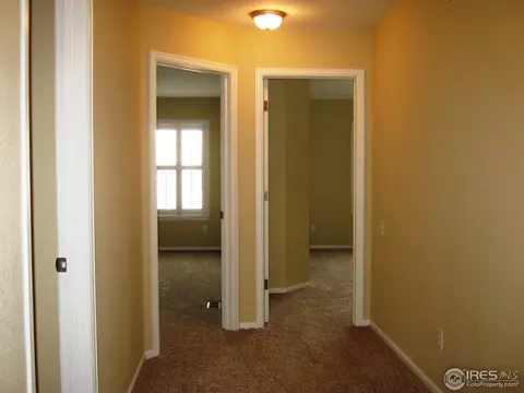10123 Grove Loop #B, Westminster, CO 80031 photo 16