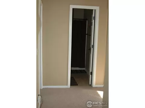 14841 E 116th Dr, Brighton, CO 80603 photo 14