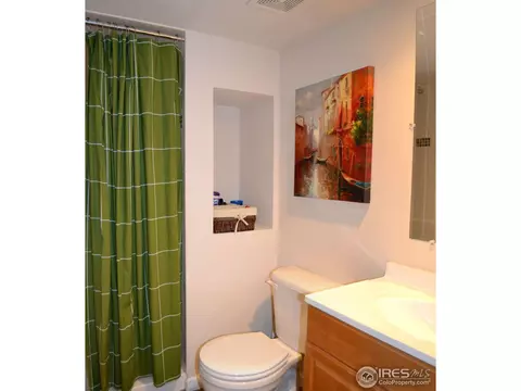 517 Springwood Ct, Windsor, CO 80550 photo 12