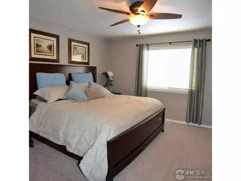 517 Springwood Ct, Windsor, CO 80550 photo 8