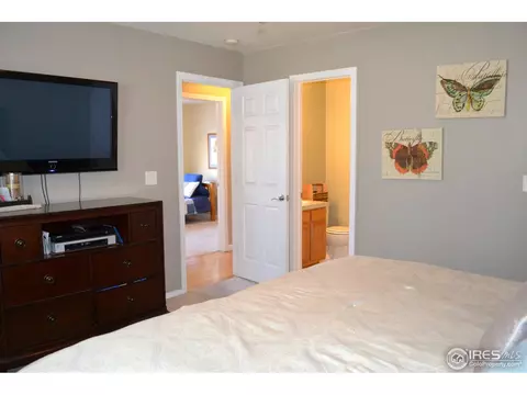 517 Springwood Ct, Windsor, CO 80550 photo 9