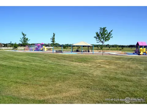 517 Springwood Ct, Windsor, CO 80550 photo 14