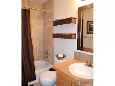 517 Springwood Ct, Windsor, CO 80550 photo 5