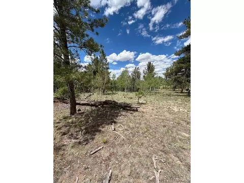 427 Brahma Cir, Hartsel, CO 80449