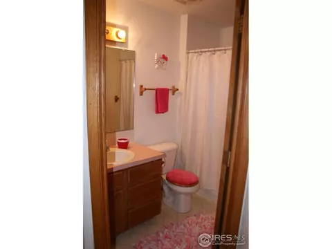 1025 Basalt Ct, Windsor, CO 80550 photo 10