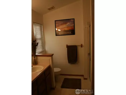 1025 Basalt Ct, Windsor, CO 80550 photo 13