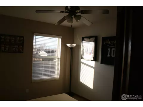 1025 Basalt Ct, Windsor, CO 80550 photo 8